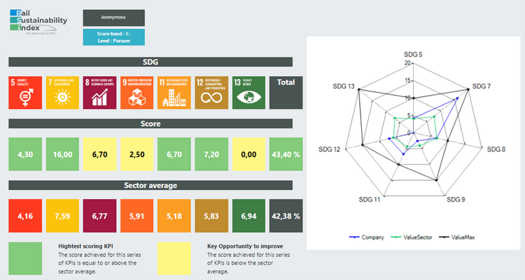 Example of a Rail Sustainability index individual company dashboard, showing score, level, scores achieved by SDG, average sector score per SDG and overall sector score. With radar graph showing max values (black), sector values (green) and company values (blue)”.
